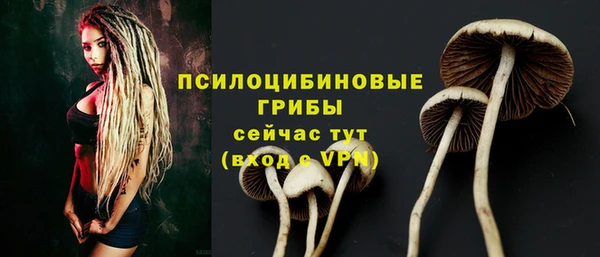 первитин Слюдянка