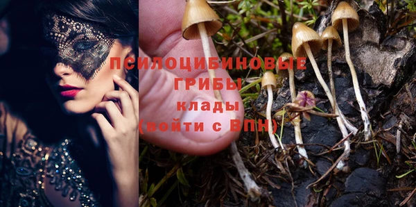 марки nbome Снежногорск