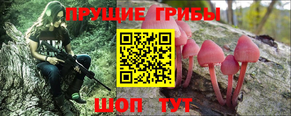 Галлюциногенные грибы ЛСД  Солнечногорск 