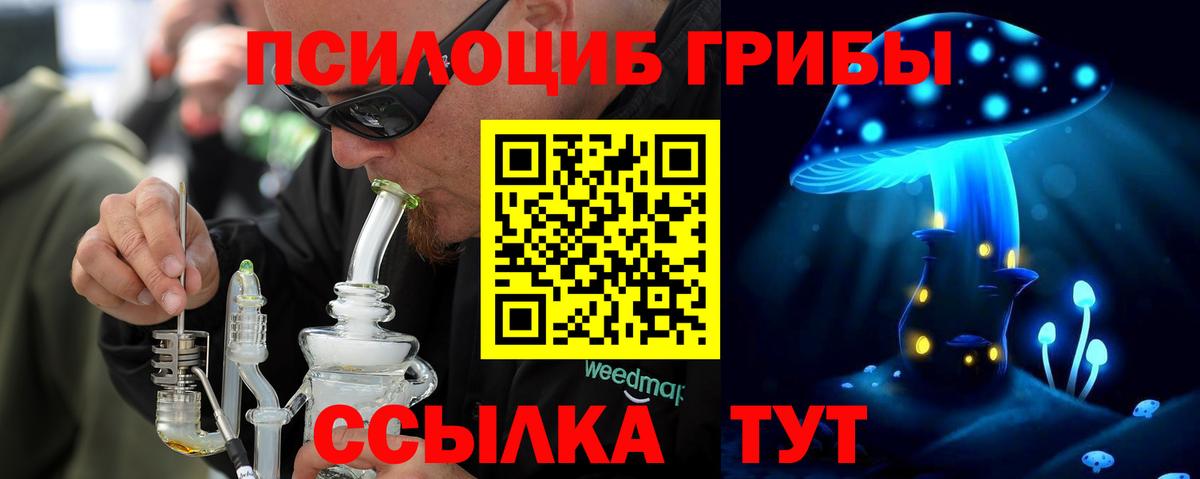Солнечногорск  Галлюциногенные грибы прущие грибы  Псилоцибиновые грибы мицелий  Вход с VPN 